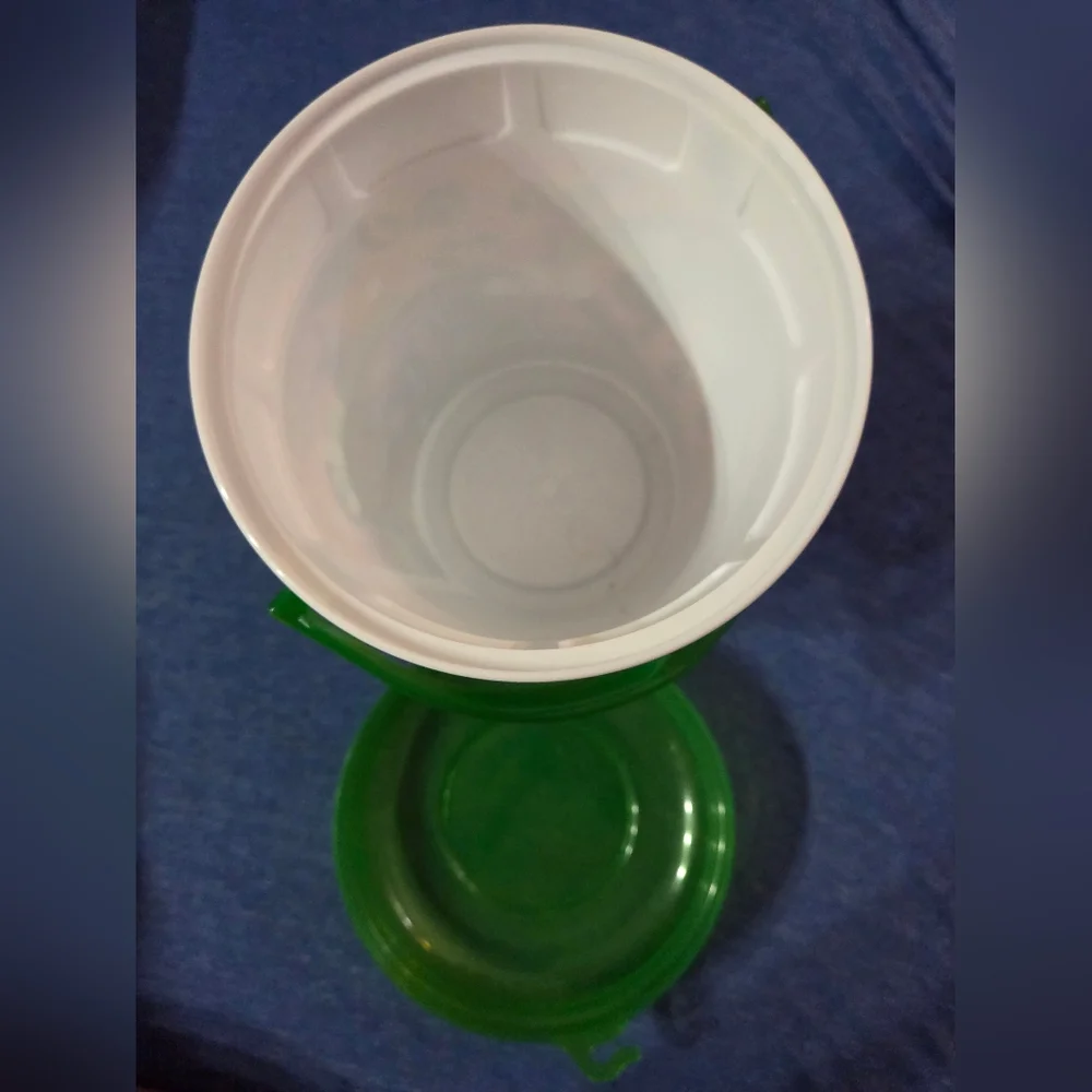 Walt Disney World Green Tiana Moana 2024 Popcorn Bucket - Picture 3 of 7